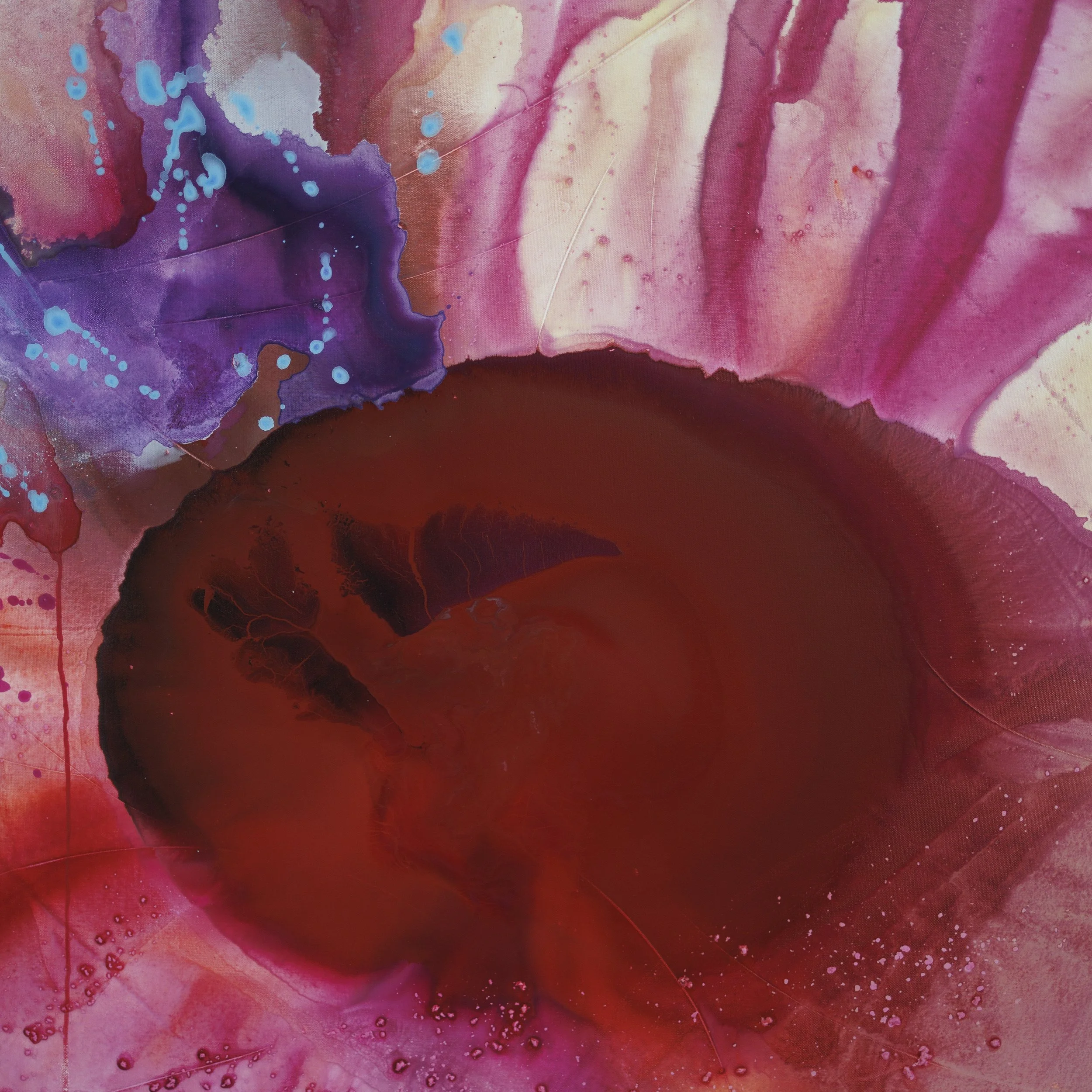 gerbera_pink_wall08.jpg
