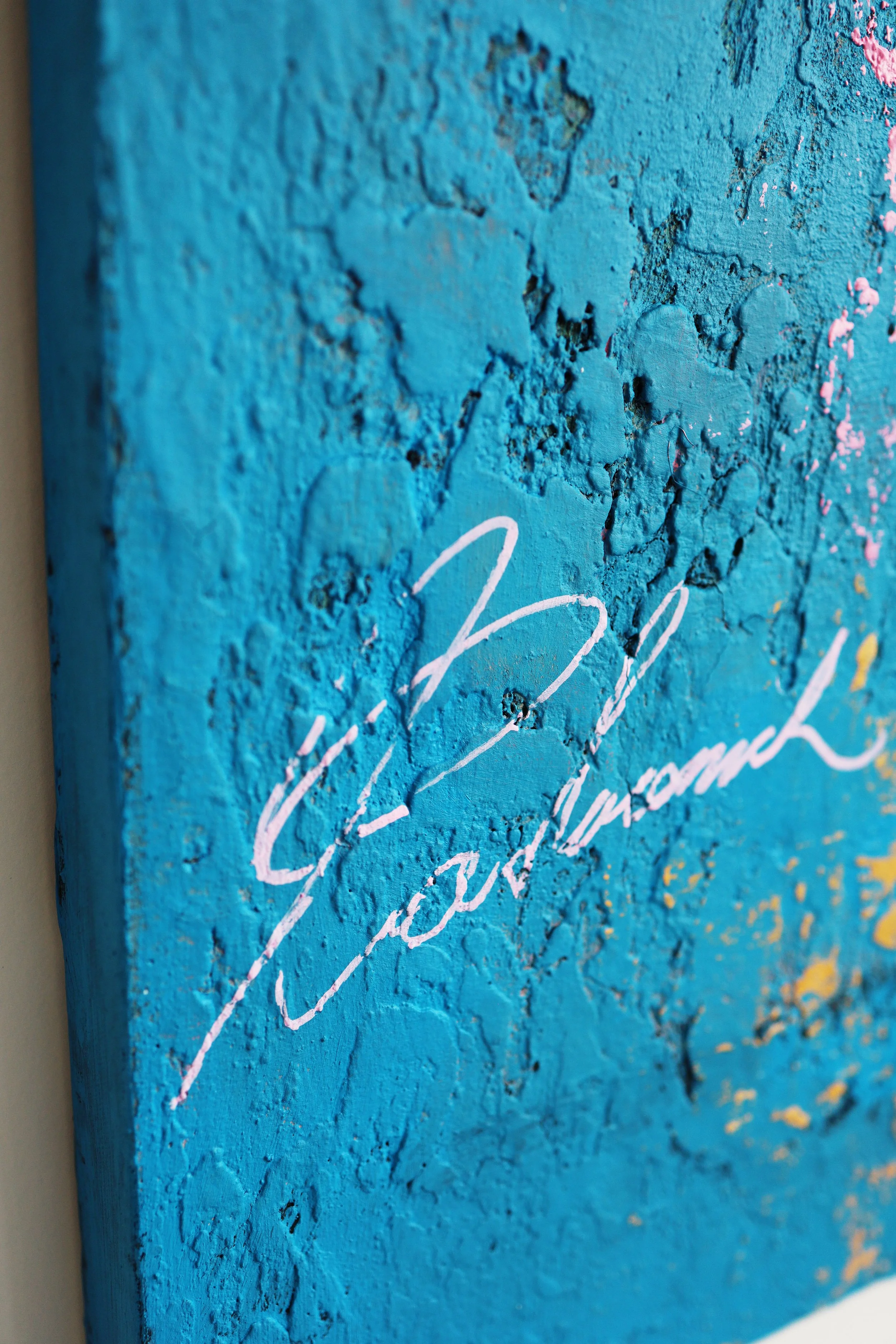 iggy_on_wall_close04.jpg