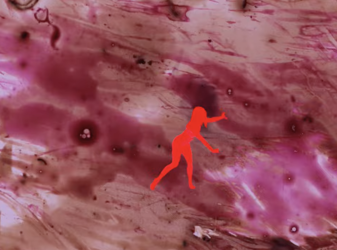 Screenshot 2025-01-28 at 12.16.55 PM.png