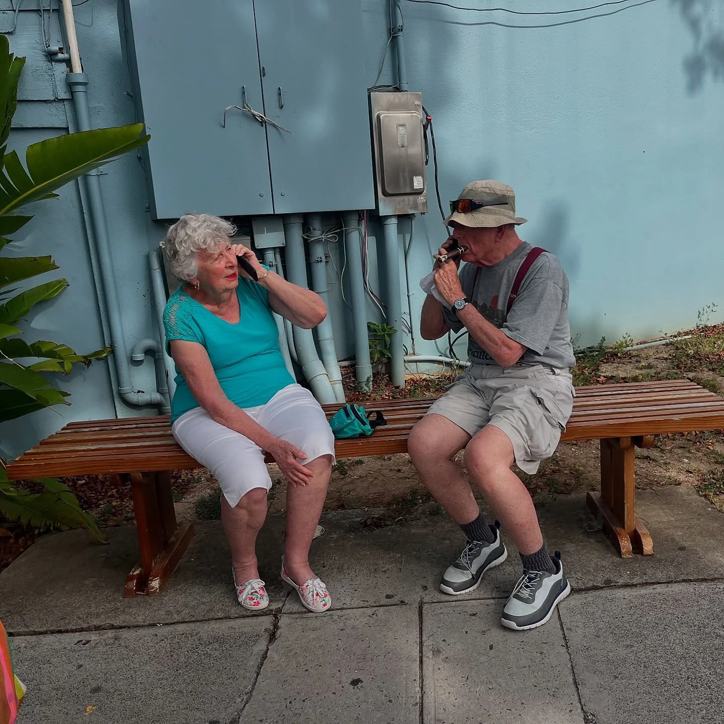 shameless cruise propaganda