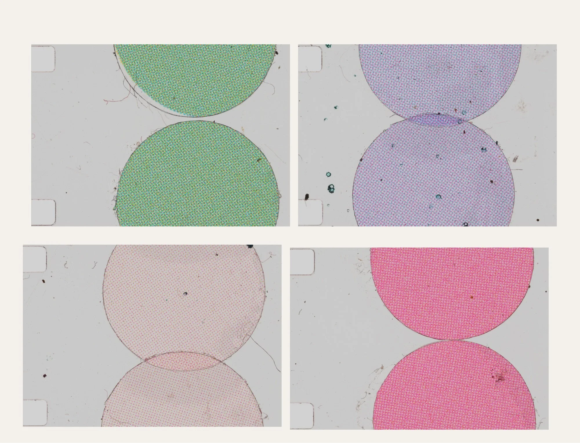 IMG_0717.JPG