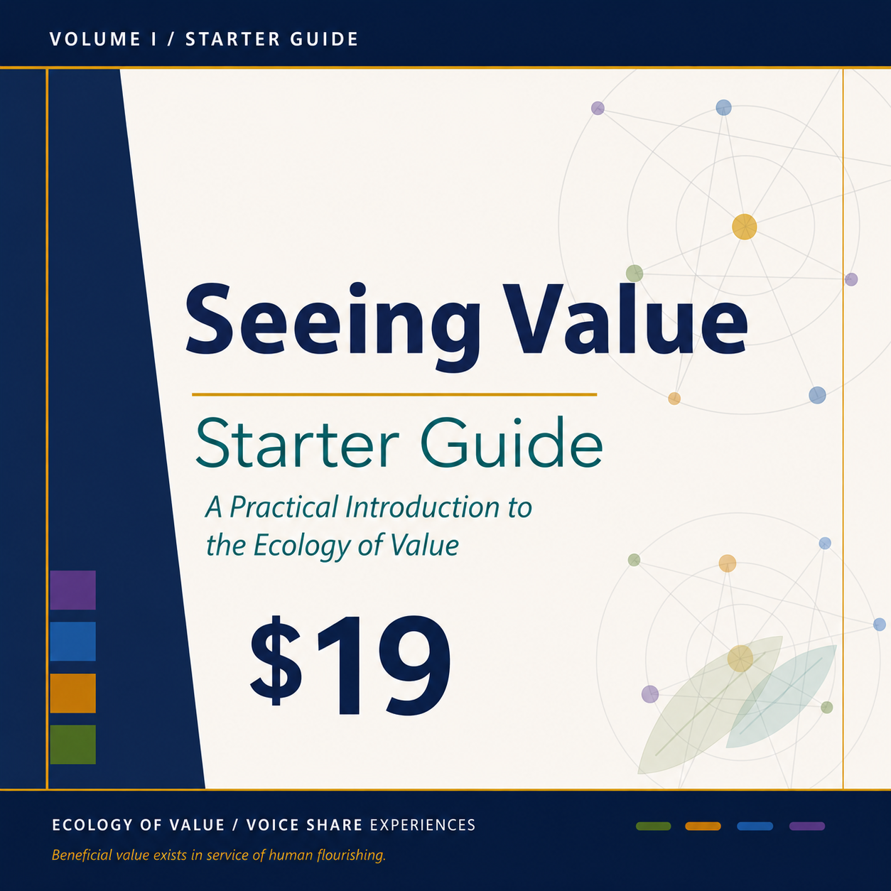 Seeing Value Starter Guide