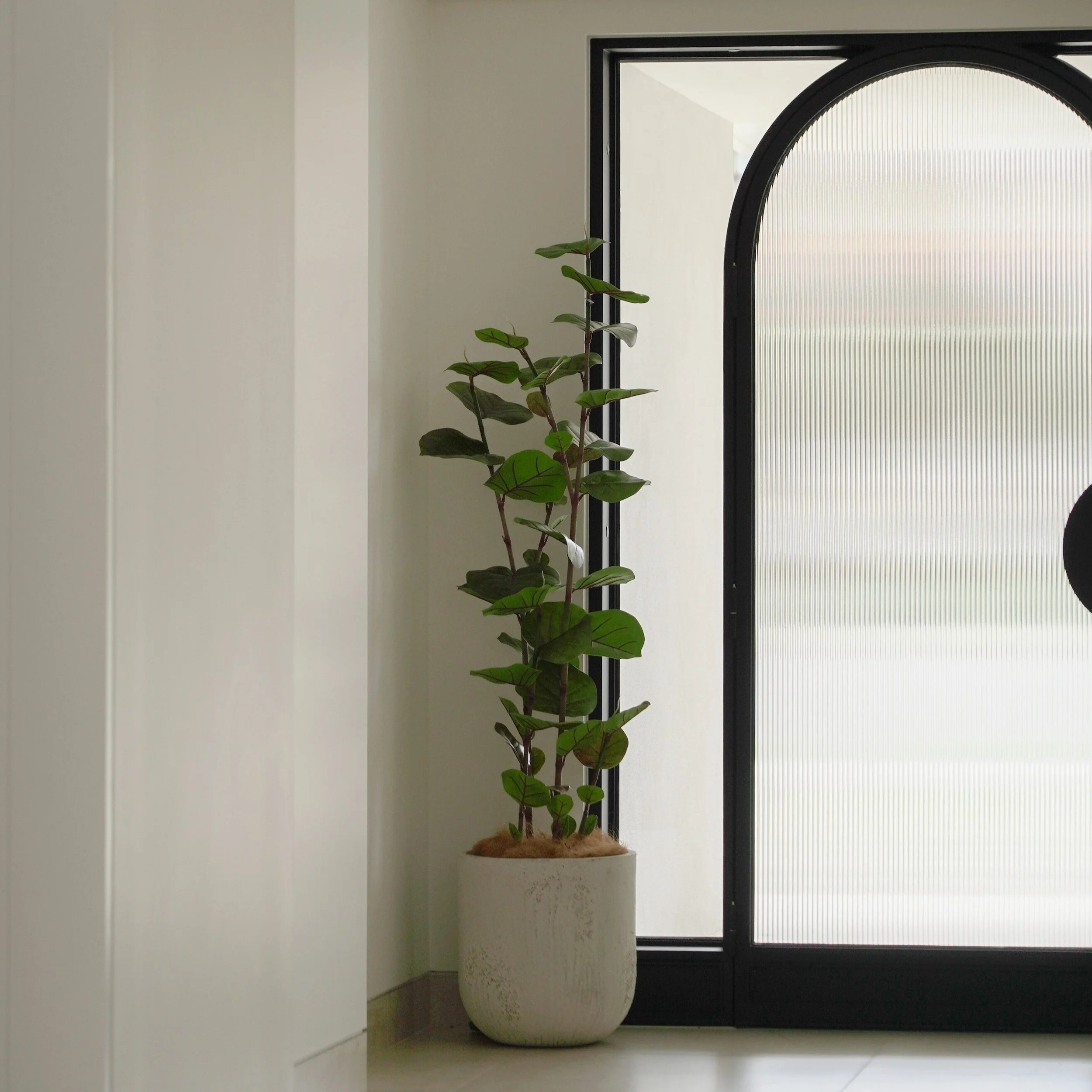 Taj Mahal Nov24 -43.jpg