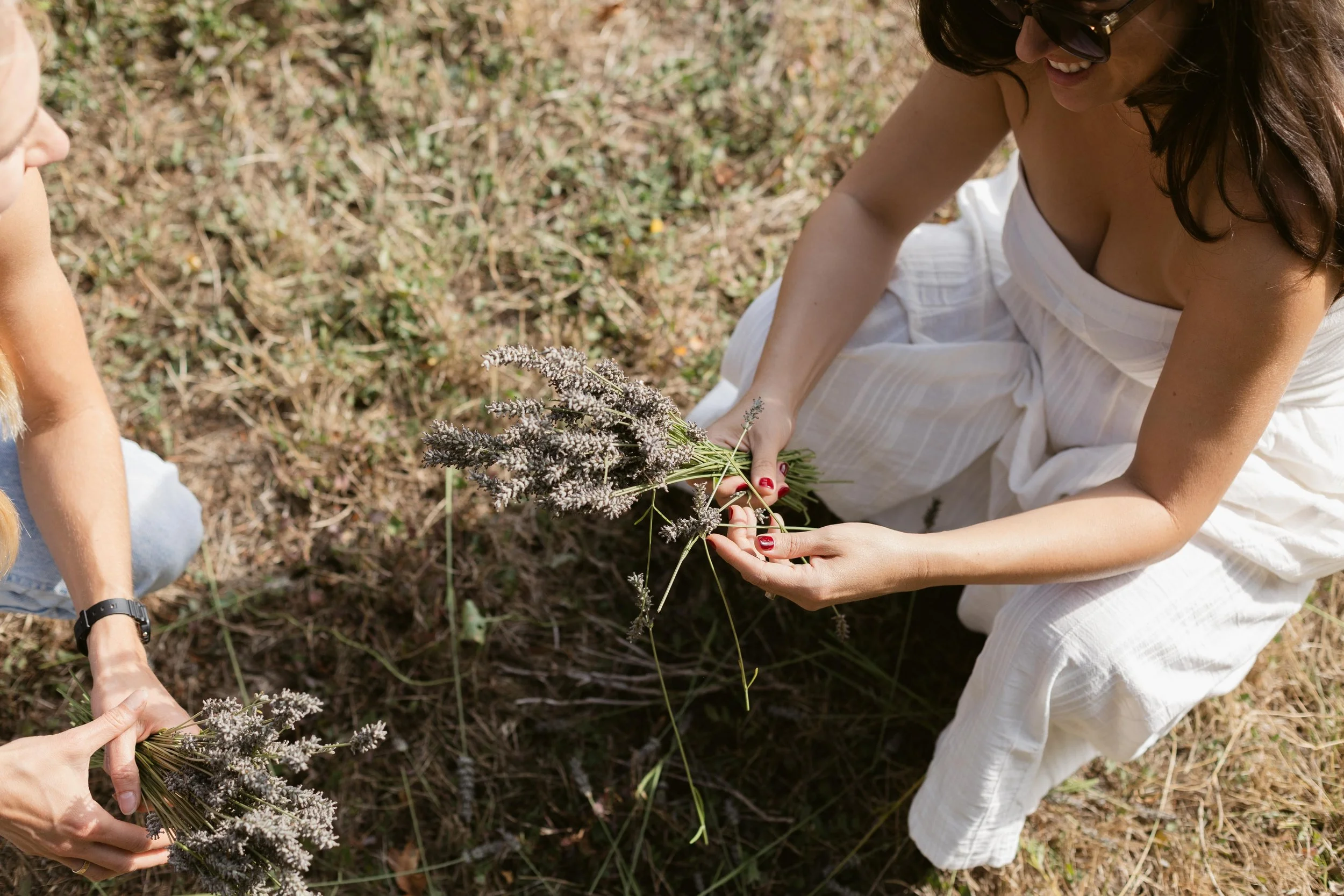 Shreves Photography-7346.jpg