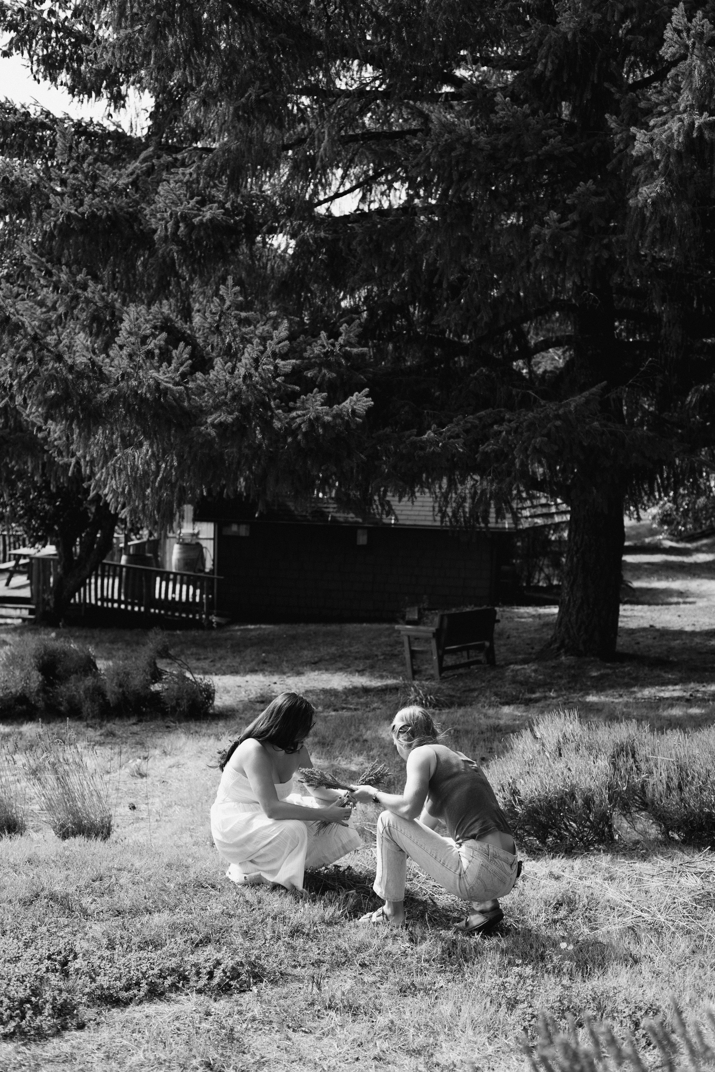 Shreves Photography-7339.jpg