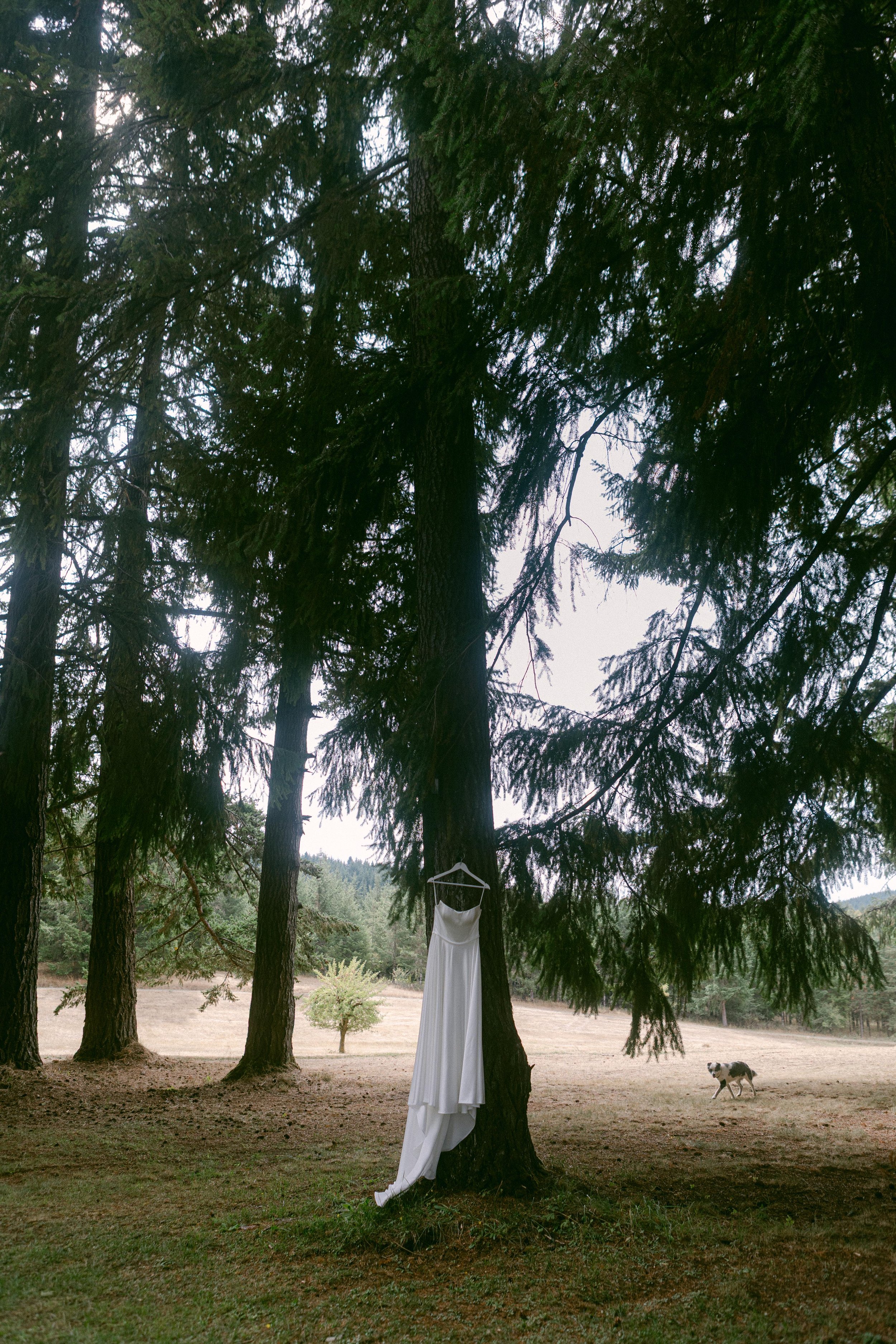 Shreves Photography-8119.jpg