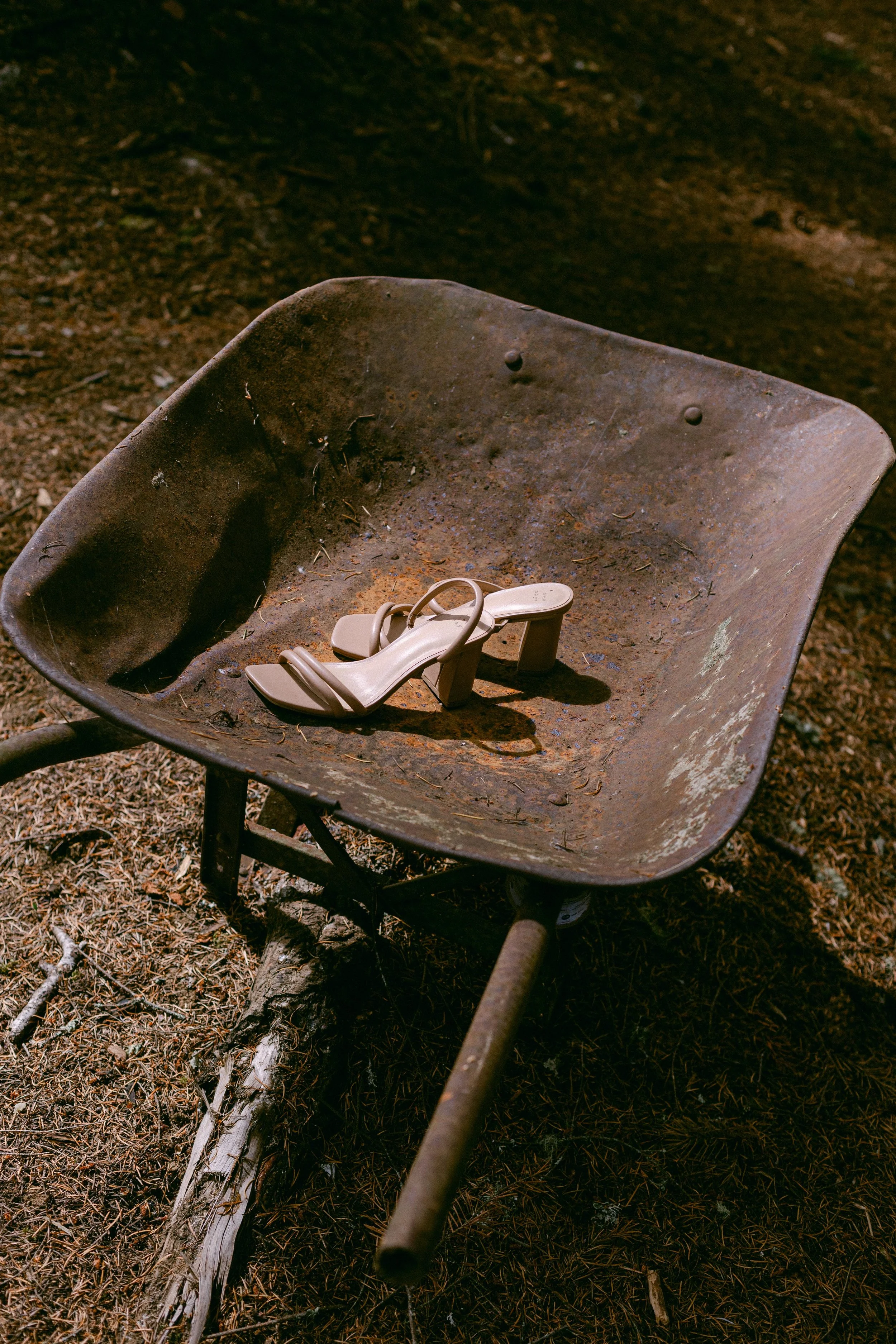 Shreves Photography-8142.jpg