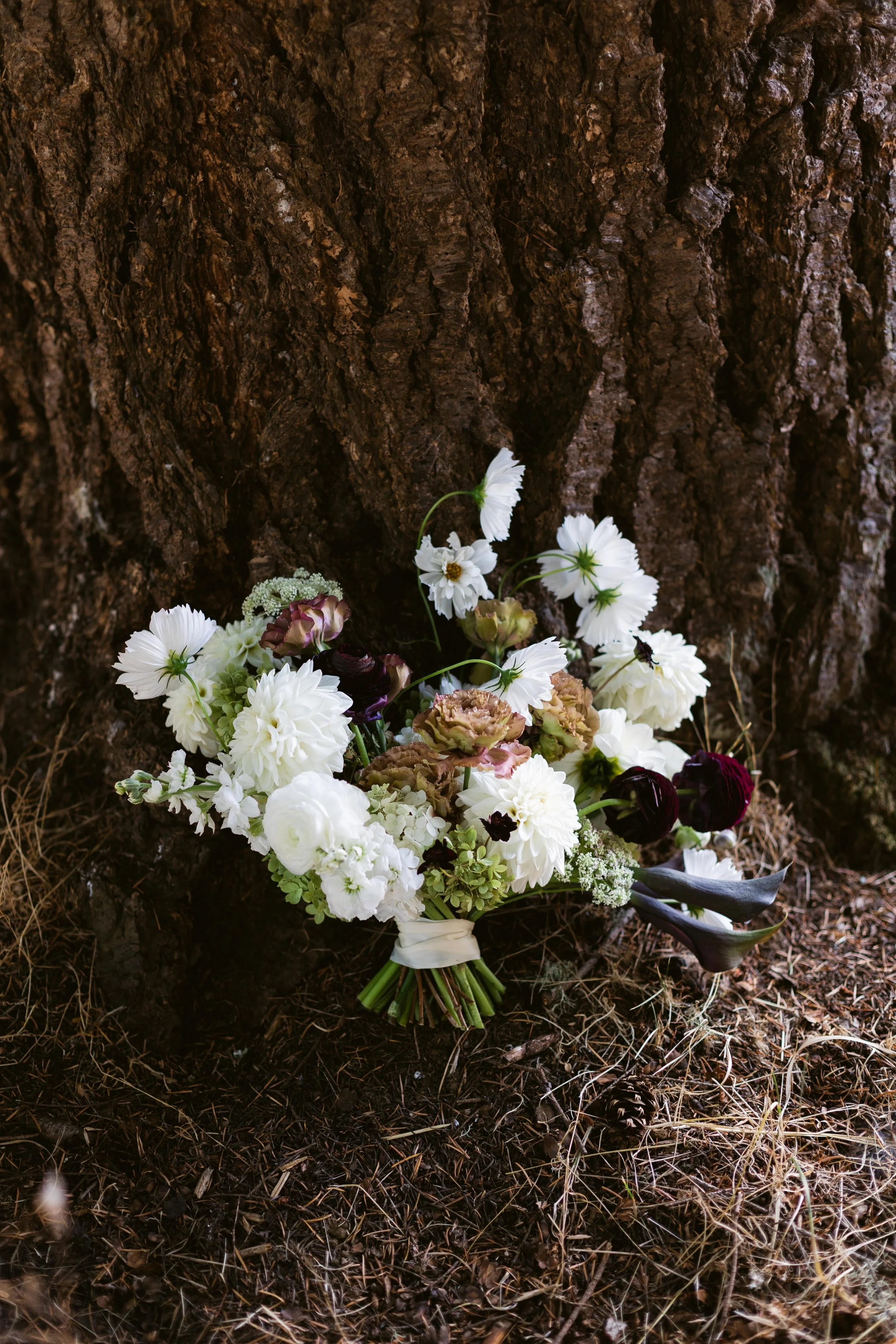 Shreves Photography-8192.jpg