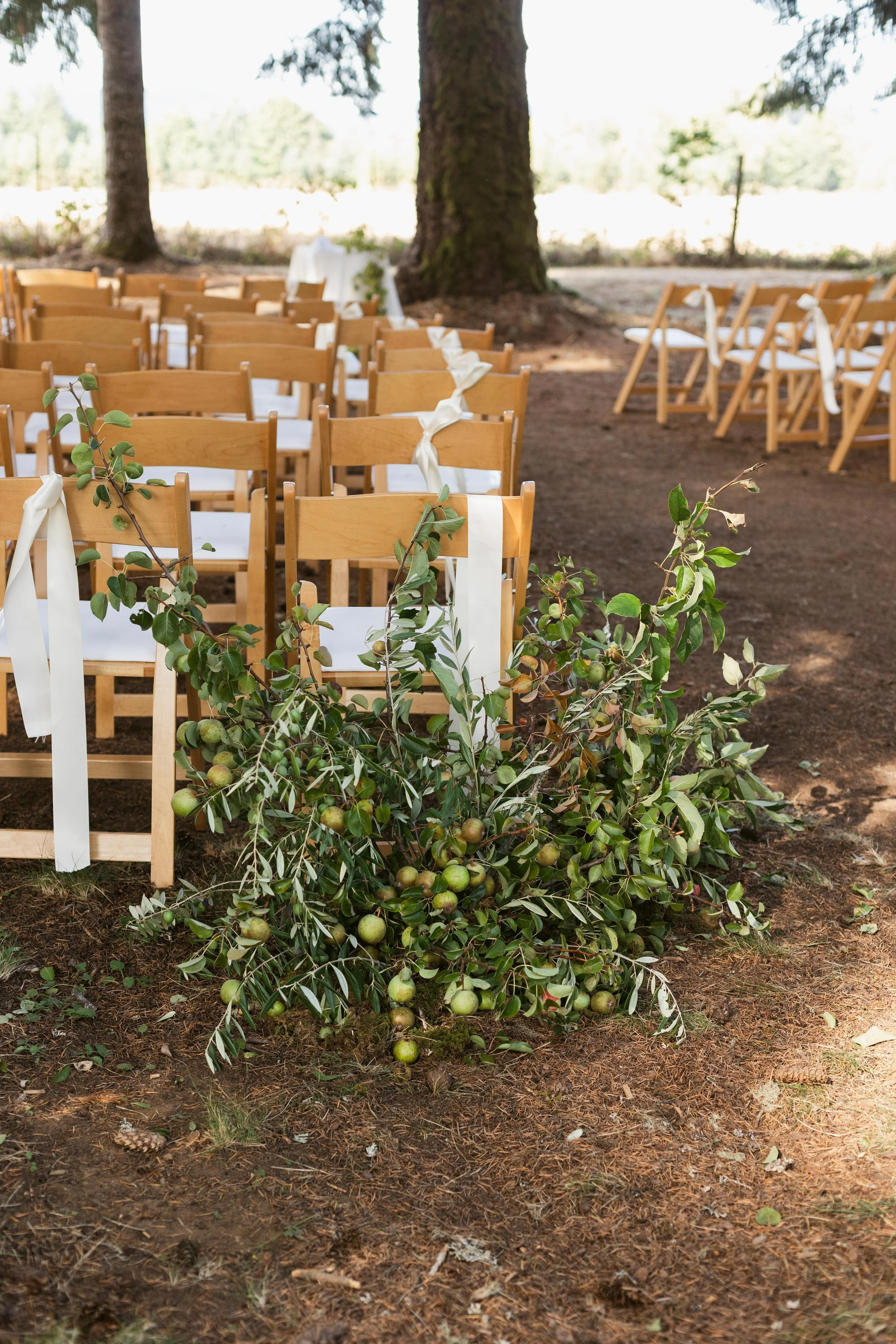 Shreves Photography-8686.jpg