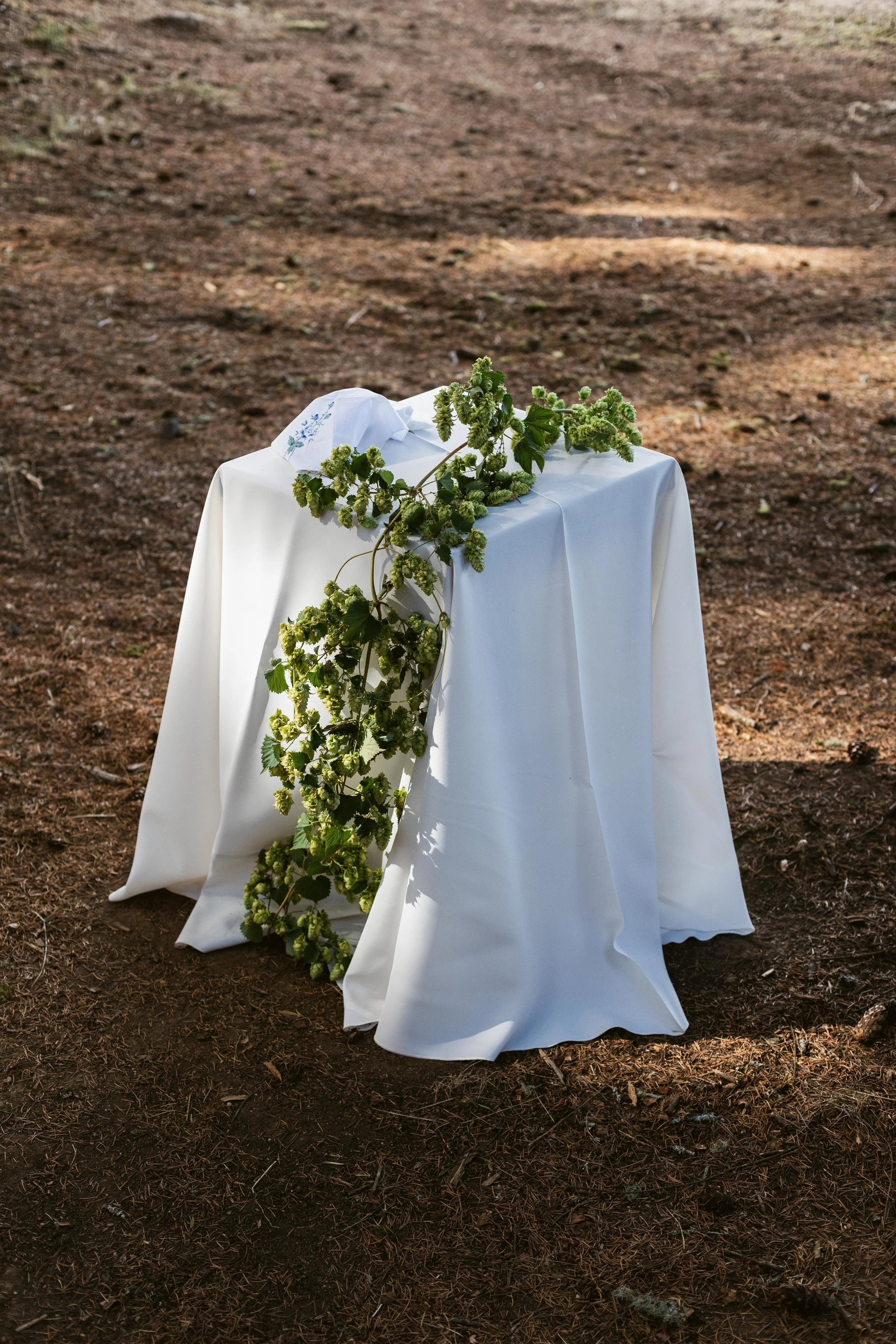 Shreves Photography-8697.jpg