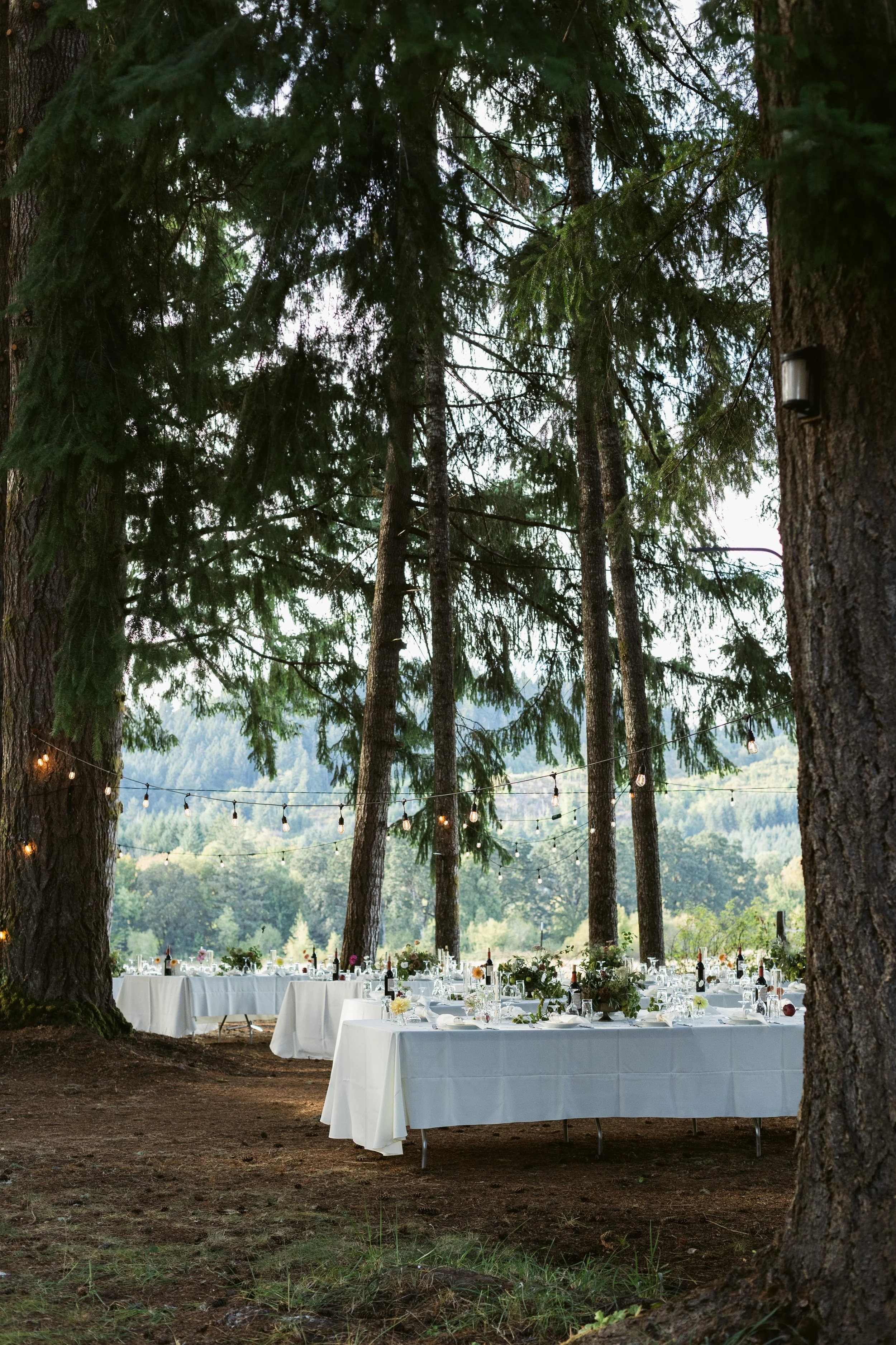 Shreves Photography-8812.jpg