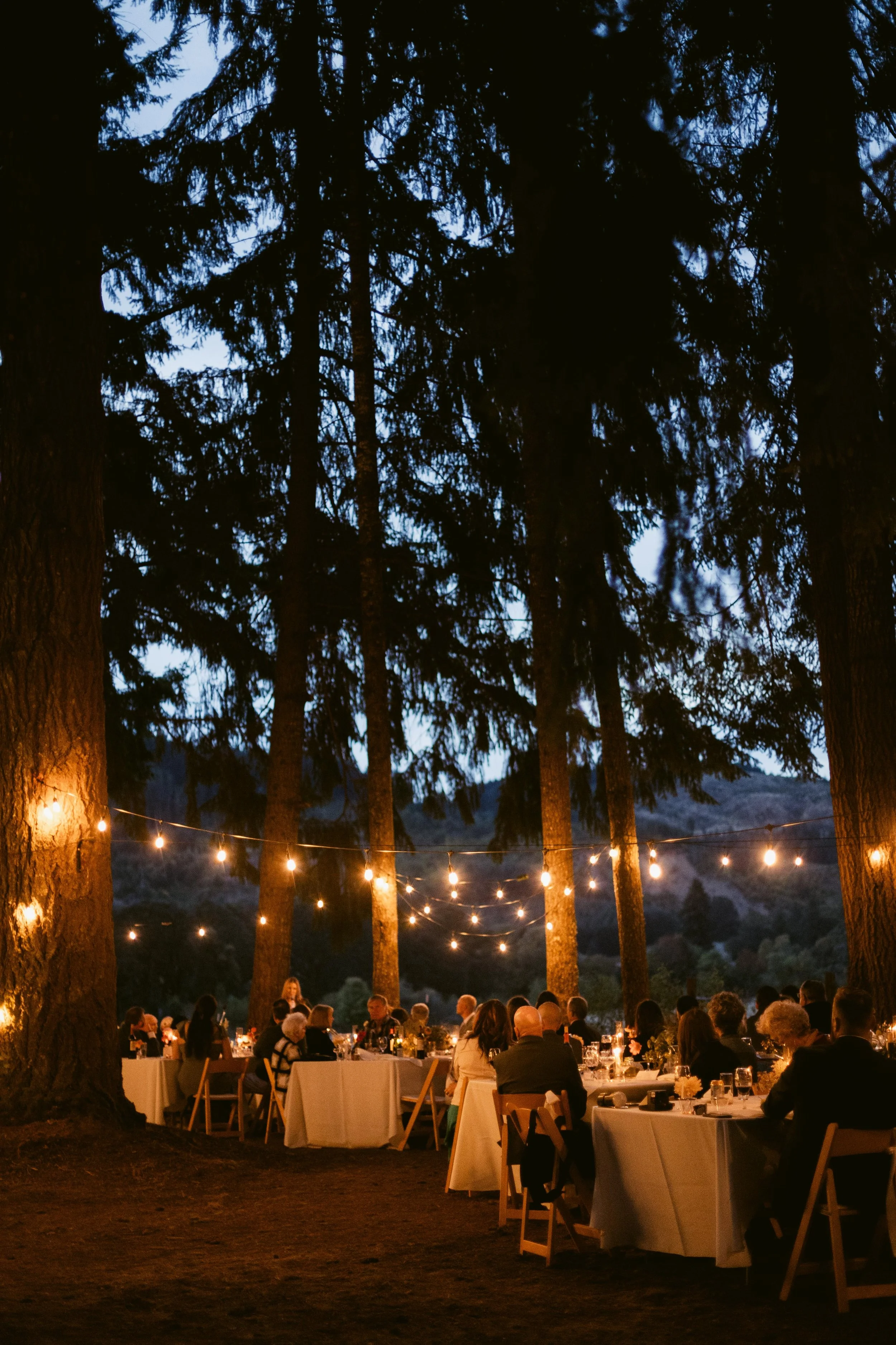 Shreves Photography-9429.jpg