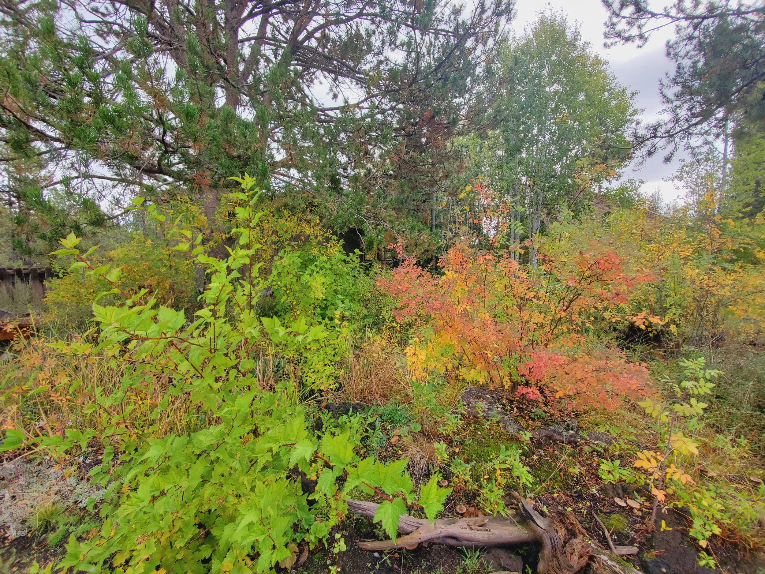 20210928_102326.jpg