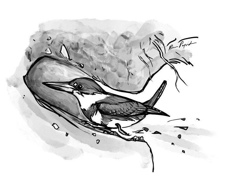 Illustration 2.jpg