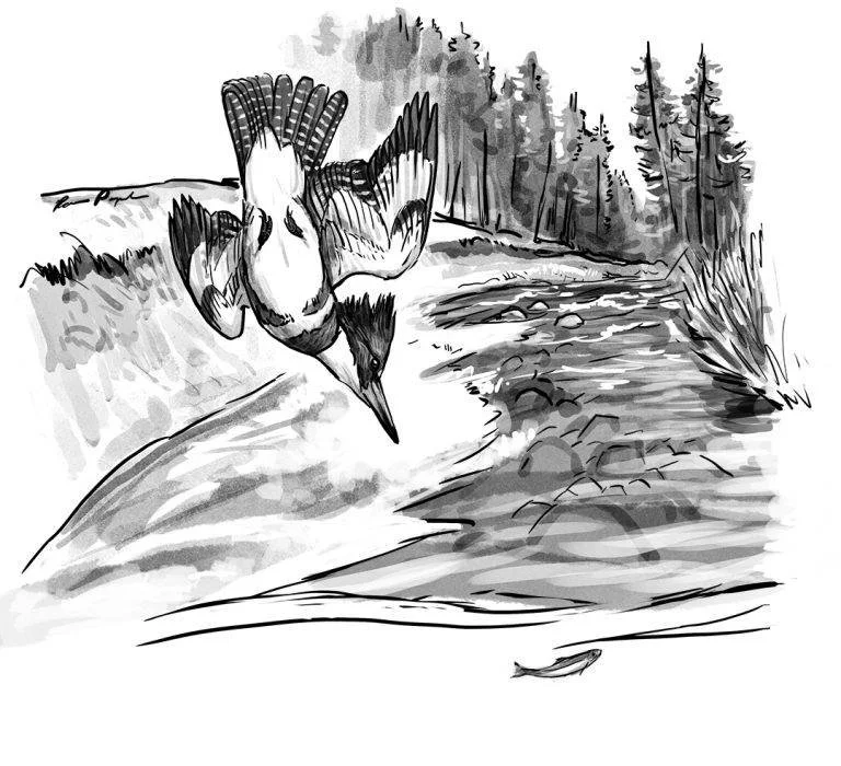 Illustration 1.jpg
