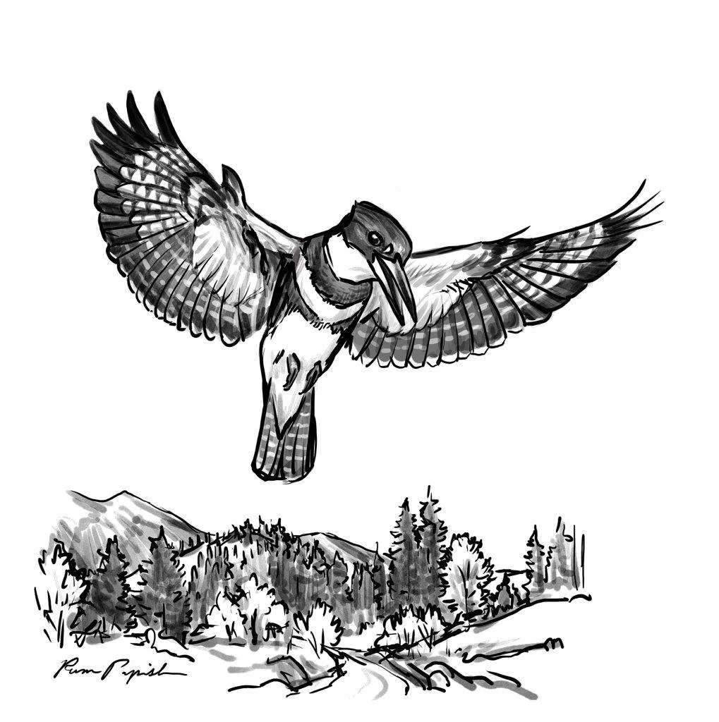 Illustration 3.jpg