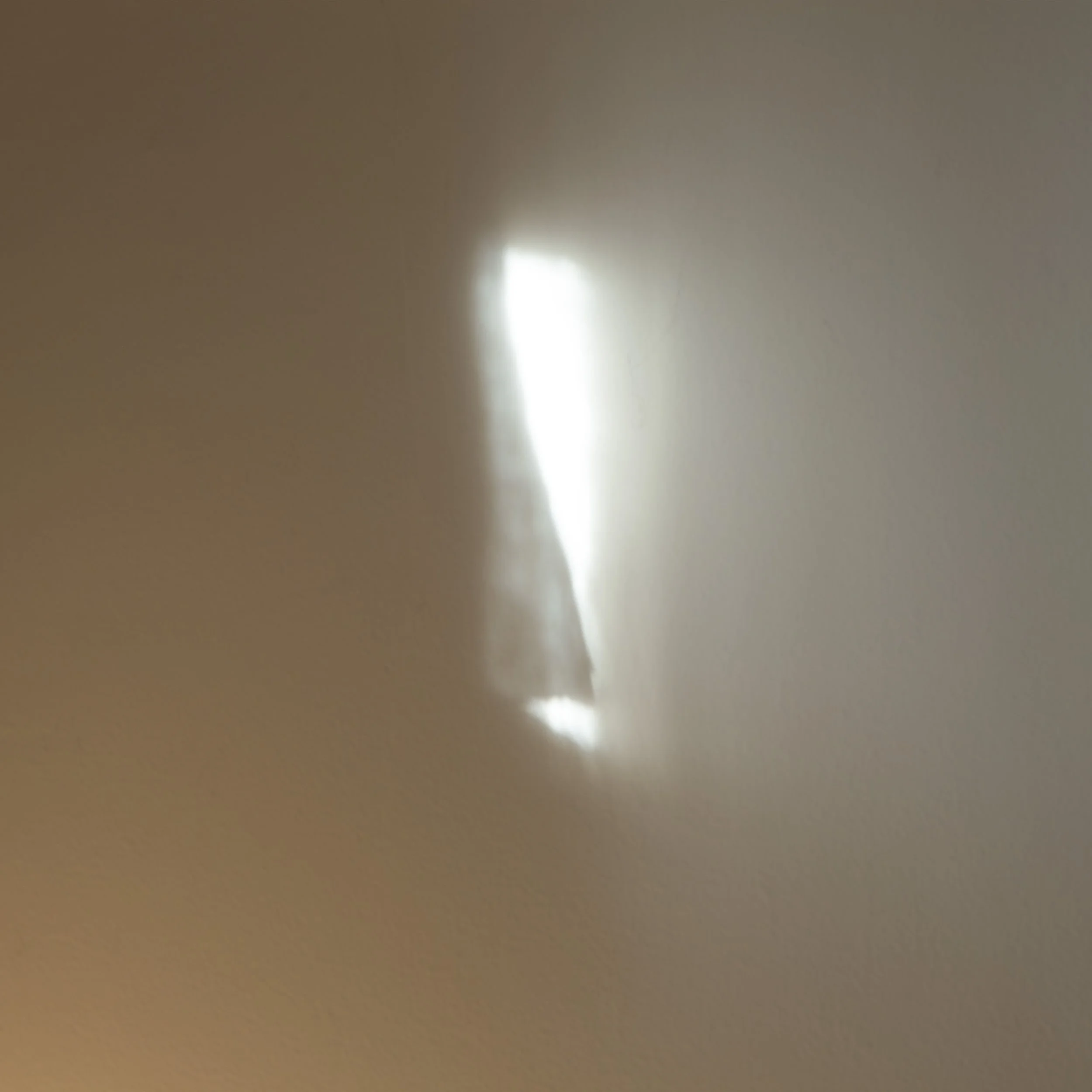 Untitled, 2025. Digital c-print, 24 x 24 in.
