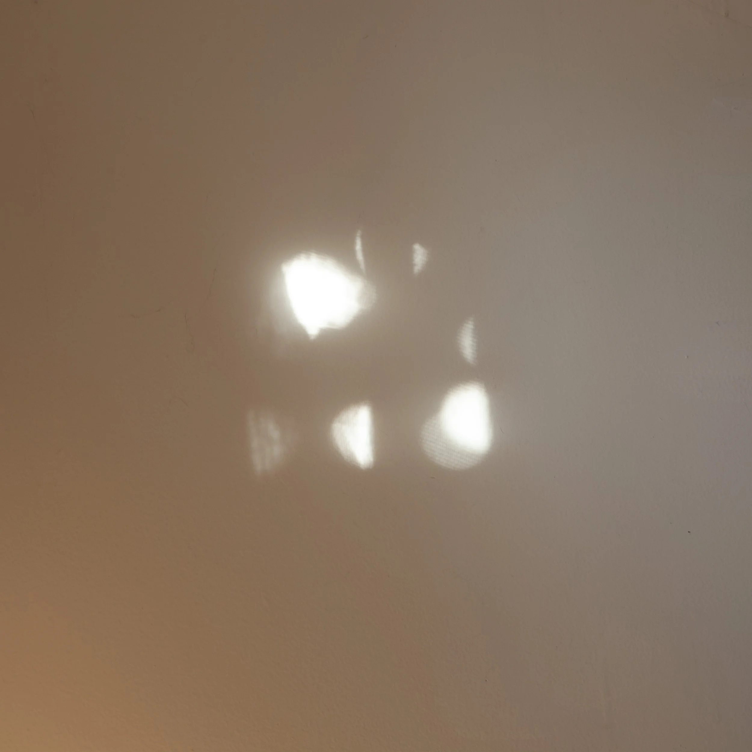 Untitled, 2025. Digital c-print, 24 x 24 in.