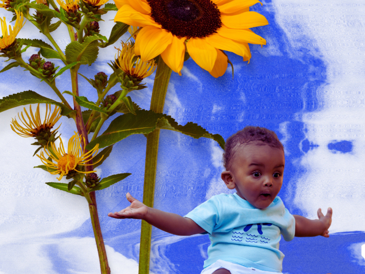 The Sun: Painful, Perfect Clarity