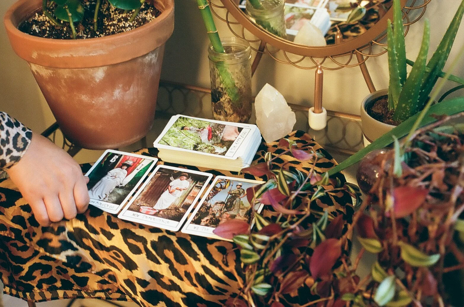 Intuitive Strategies Will Help Us Survive (And Win)