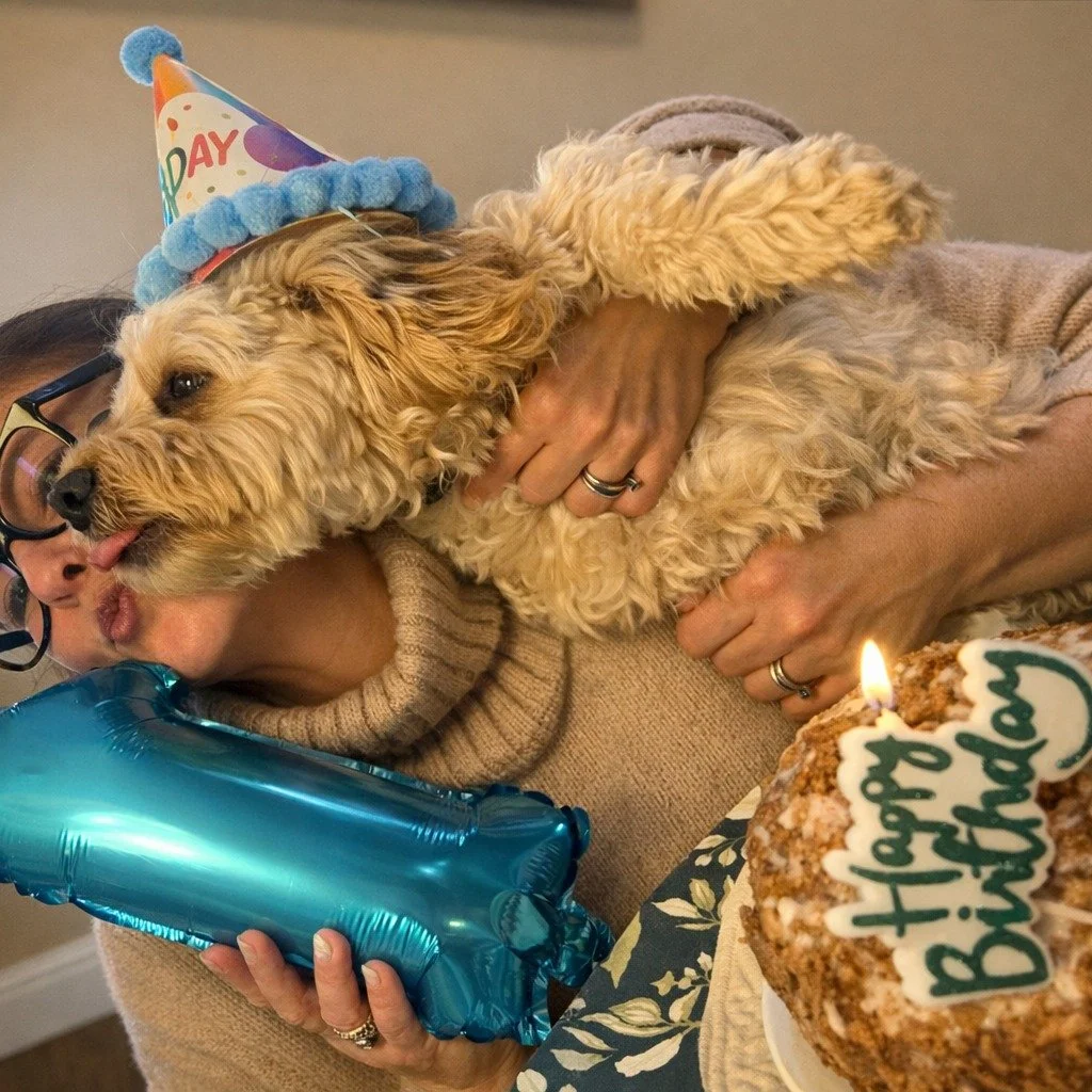 It&rsquo;s funny how a little dog can show up and quietly shift your whole heart.
This is the story I didn&rsquo;t know I needed to write. 
Read it here: https://www.wisdomchronicles.ca/blog/what-i-didnt-expect-from-this-little-dog