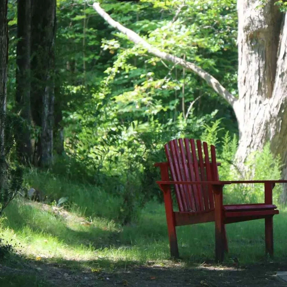 We talk a lot about the moment of loss&hellip; but not enough about everything that comes after.
This piece is for anyone navigating the long, complicated middle of grief.
Full post:
https://www.wisdomchronicles.ca/blog/grief-isnt-just-about-losing-t