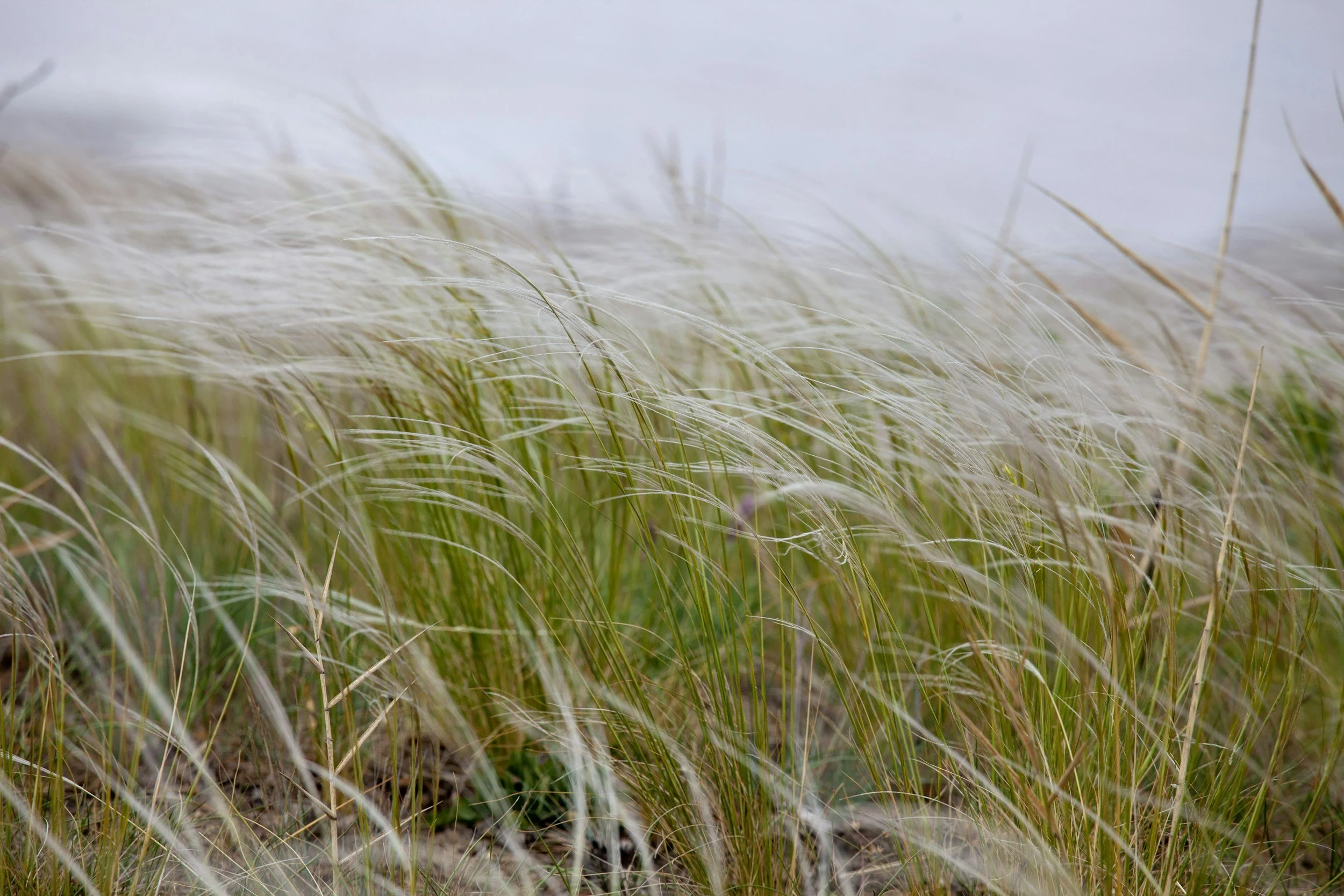 The Quiet Work That Shapes a Life: Part 2