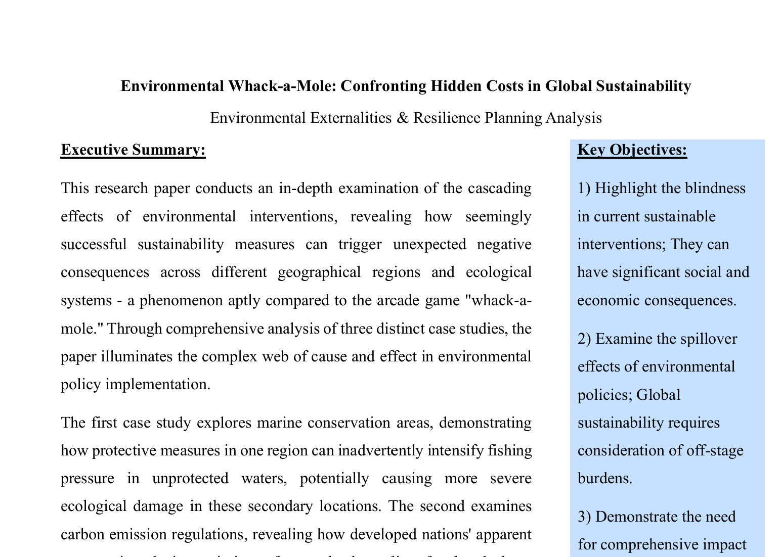 Assessing Hidden Costs in Global Sustainability