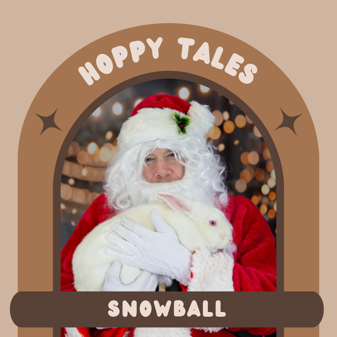 Hoppy Tales: Snowball aka Alice 