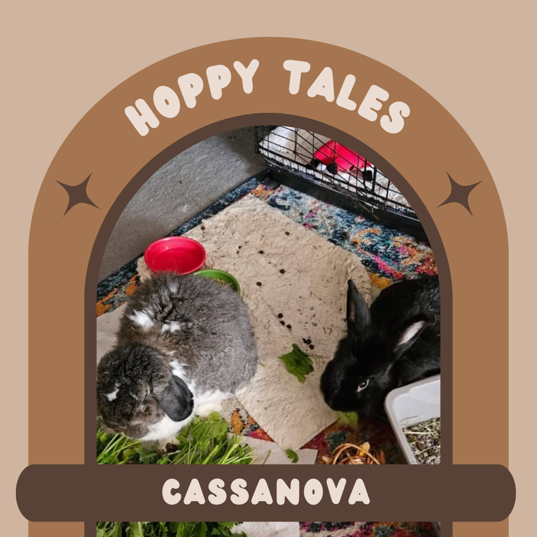 Hoppy Tales: Casanova