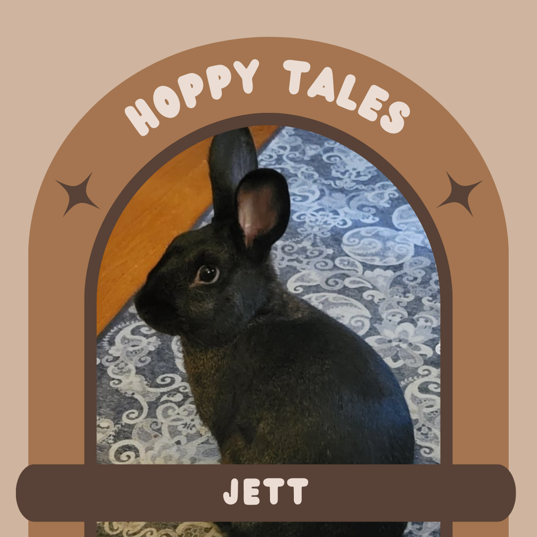 Hoppy Tales: Jett