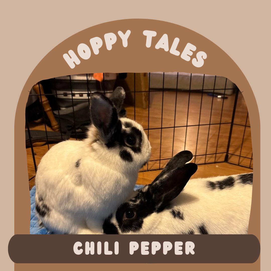Hoppy Tales: Chili Pepper