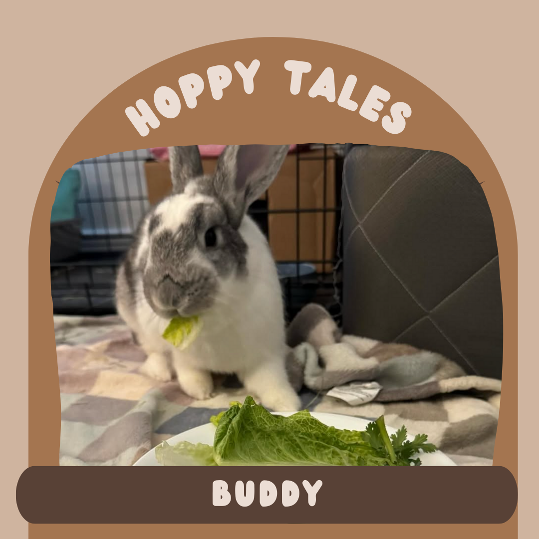Hoppy Tales: Buddy