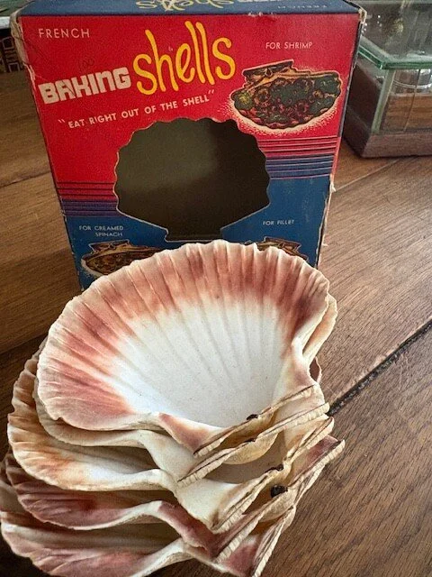 shells.jpeg