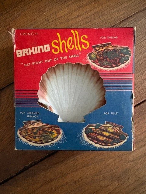 shell1.jpeg