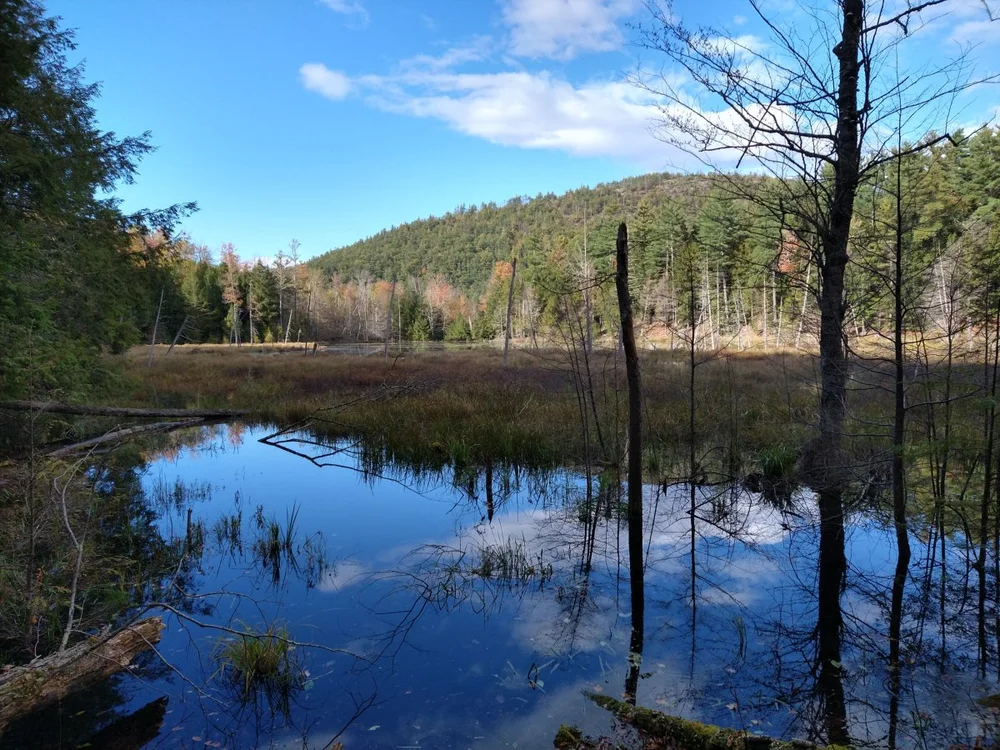 treadway-4.jpg