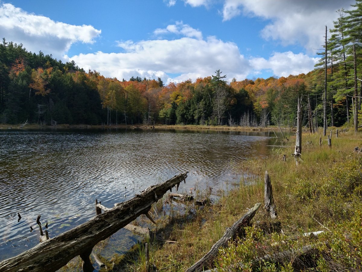 treadway-5.jpg