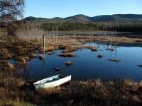 shaw_pond_2.JPG