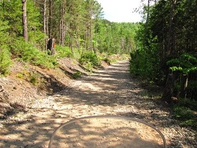  8 - Wolf Pond Road