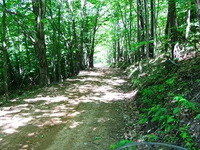  17 - Armstrong Road 