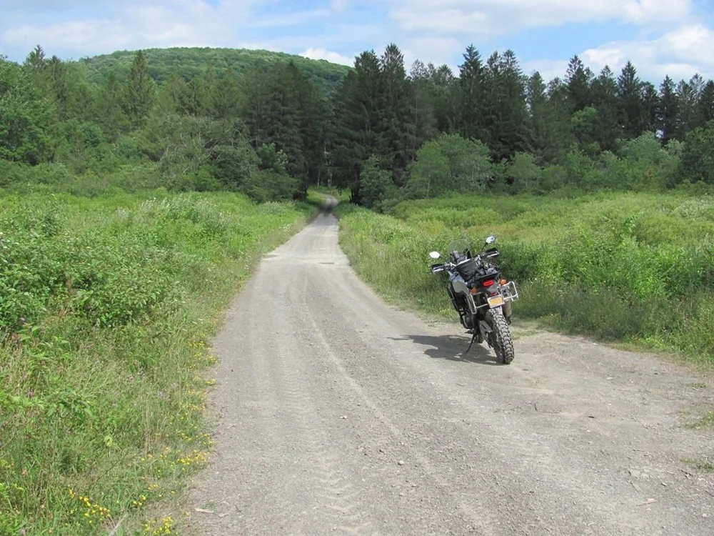 NYSTER-15.JPG