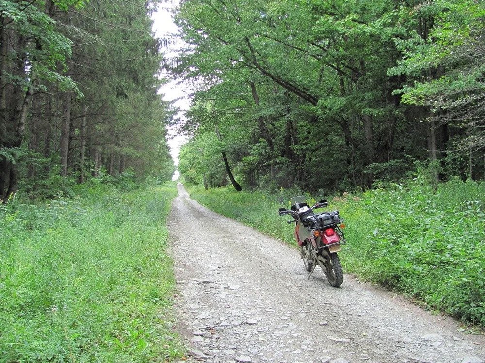 NYSTER-19.JPG