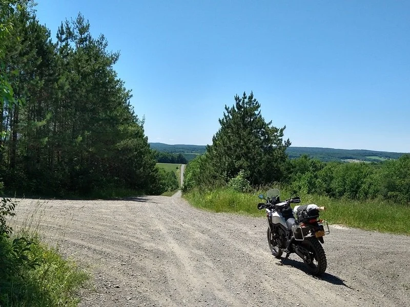 NYSTER_25JUN2022-1.jpg