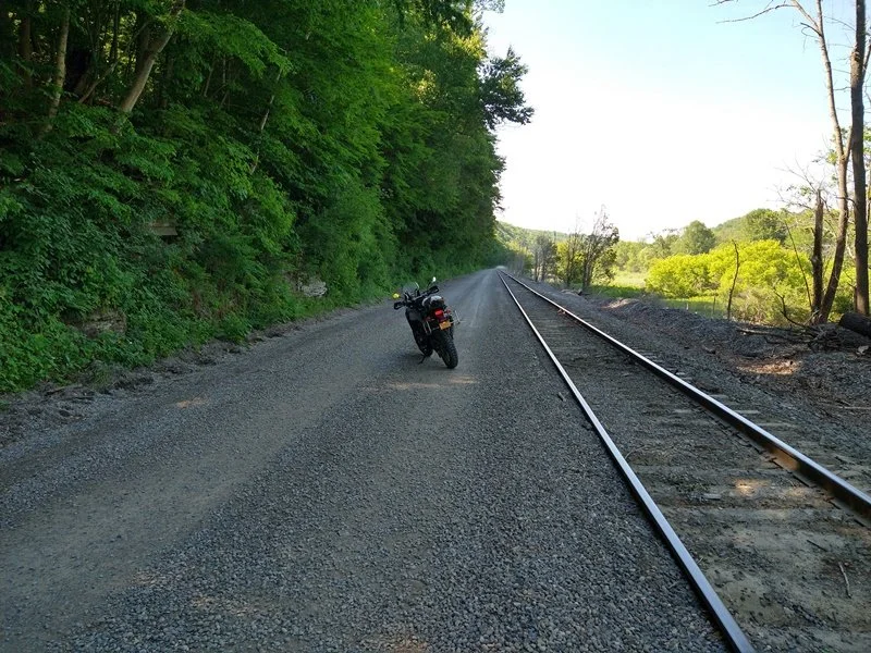 NYSTER_25JUN2022-8.jpg