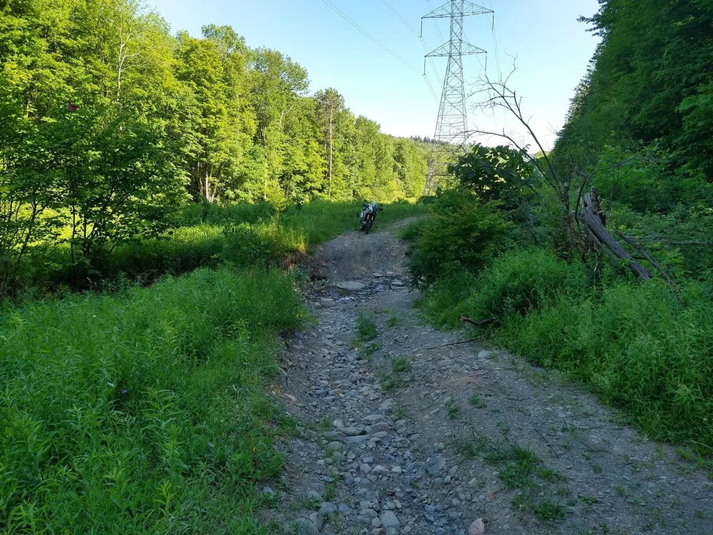 NYSTER_25JUN2022-14.jpg