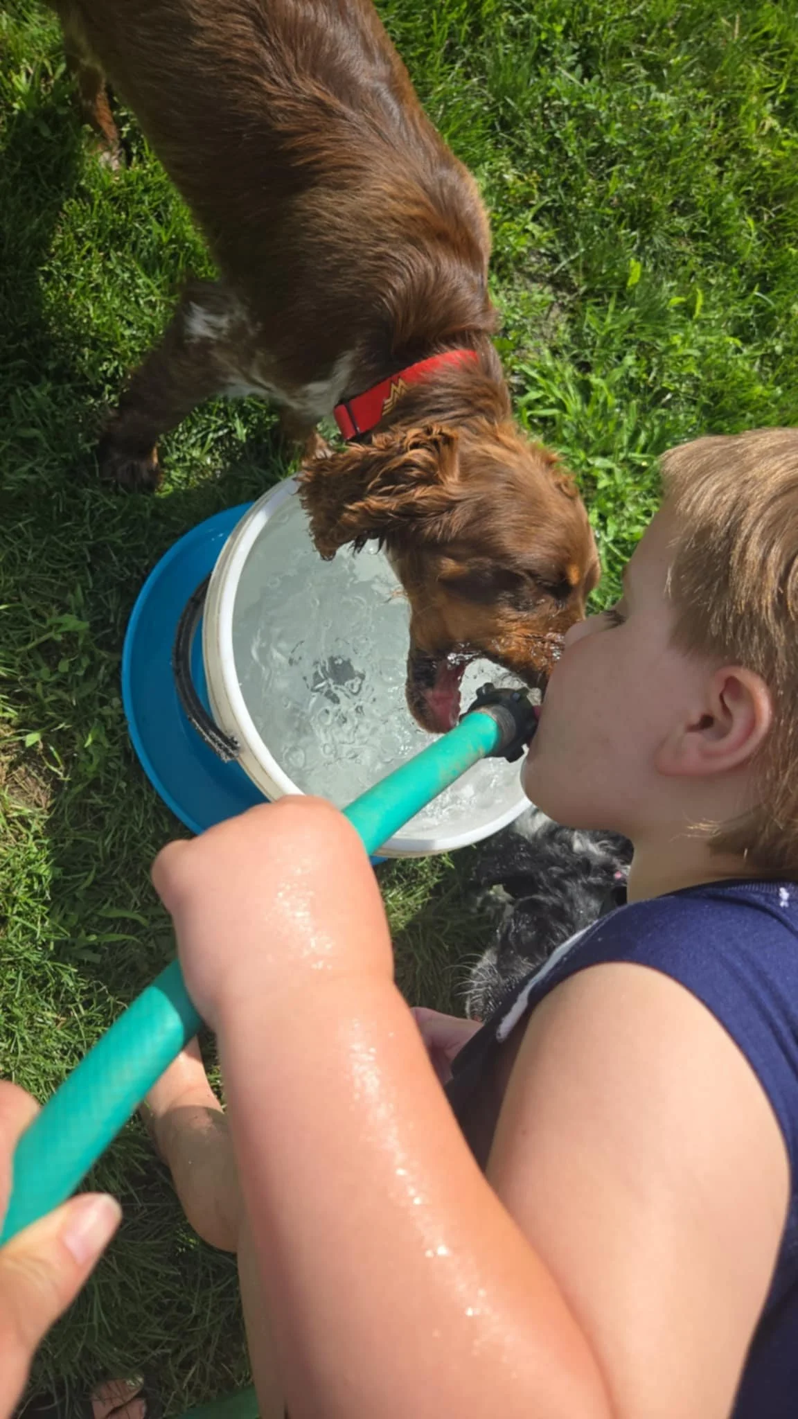 Nova & Aiden Anyone need a drink?