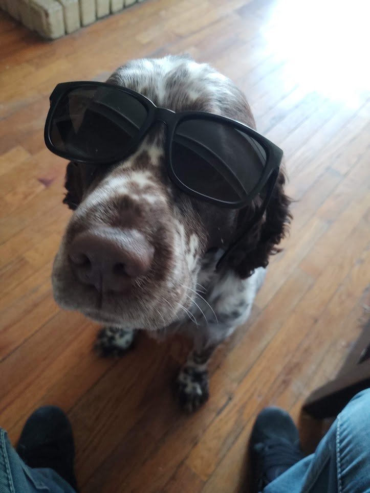 Mr. Hollywood
