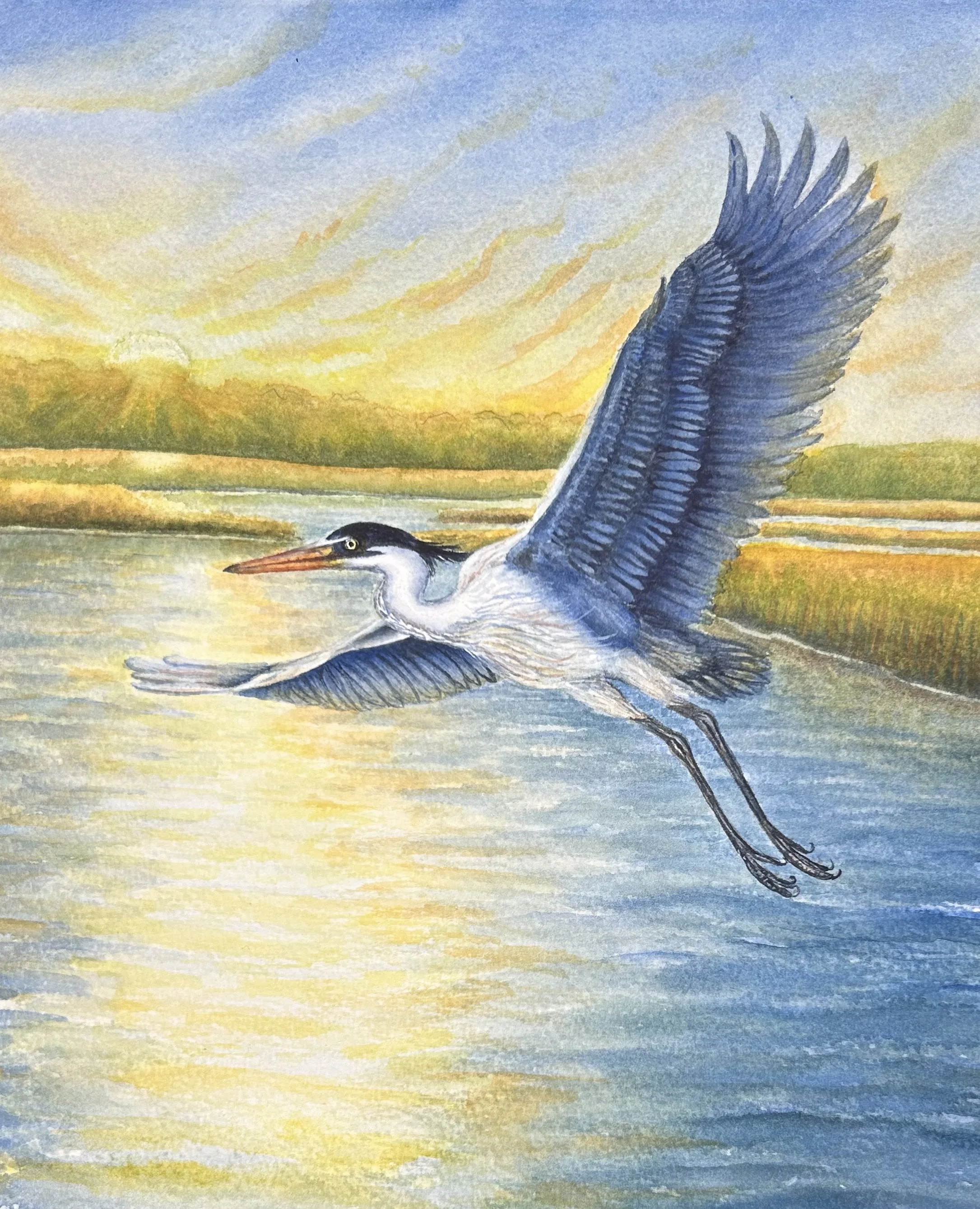 EVENING FLIGHT