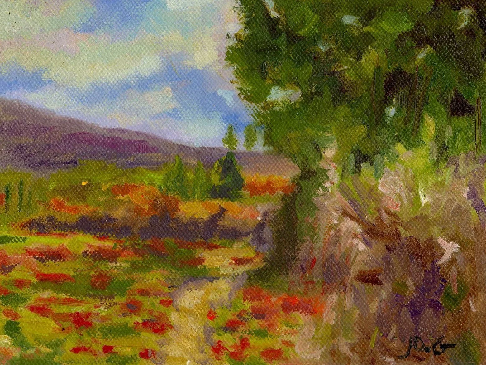 POPPY FIELD I - ORIGINAL