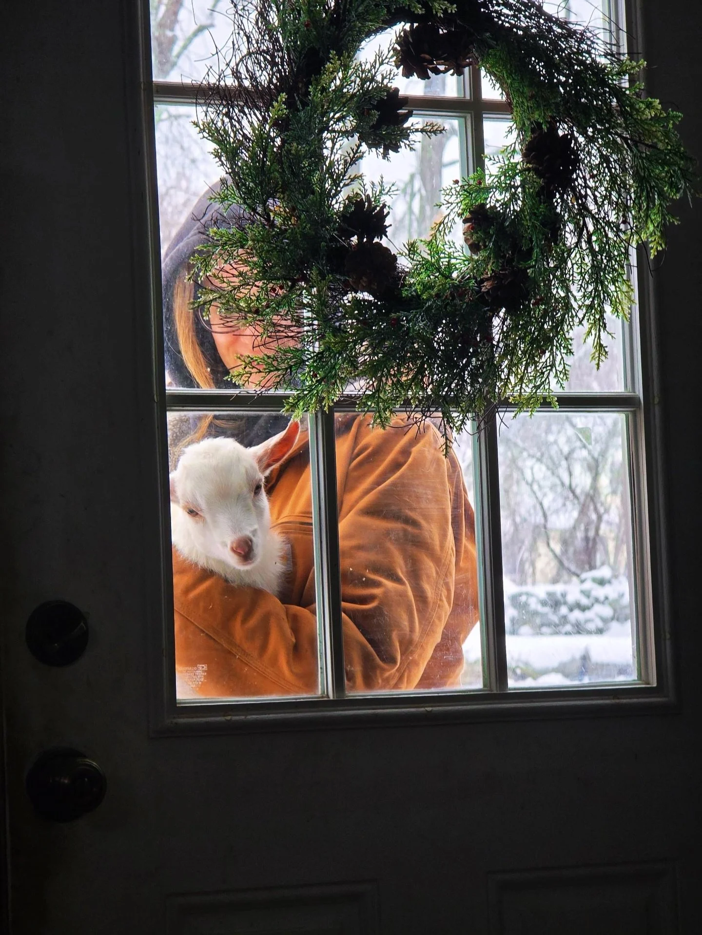 Of courseeee my Winter baby boy would have scours the morning of the first snowstorm of the year. Prebios, toltrazuril, a little bath and blowdry &amp; electrolytes it is! ❄️☃️ #babygoats #thegoodbadandugly #homesteadproblems #winterishere #goatcare